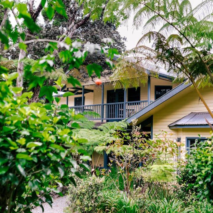 Photo of Others in Volcano