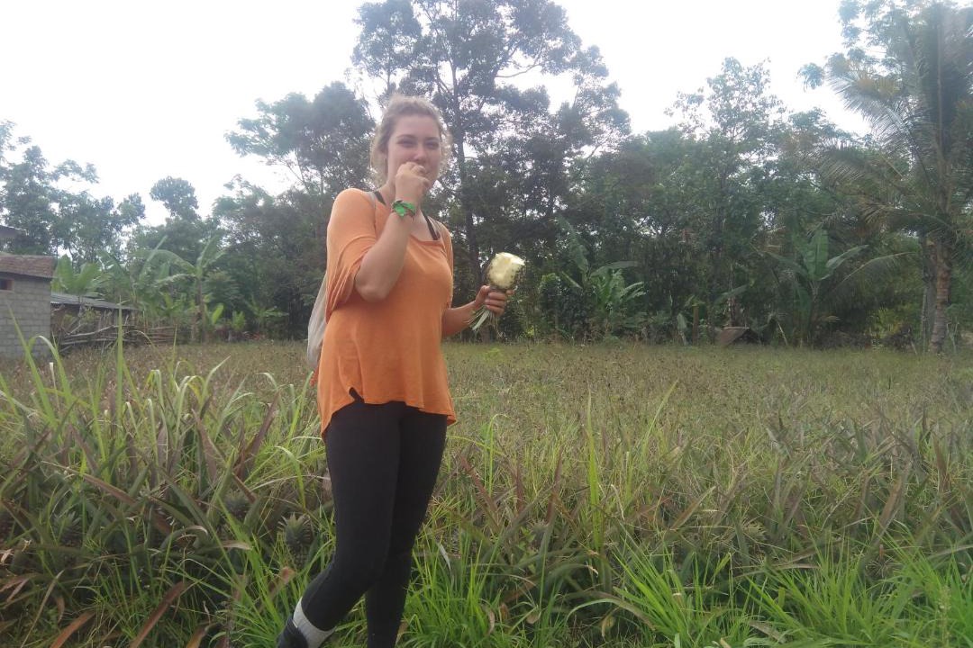 Photo of Human In Picture in Kecamatan Pringgasela