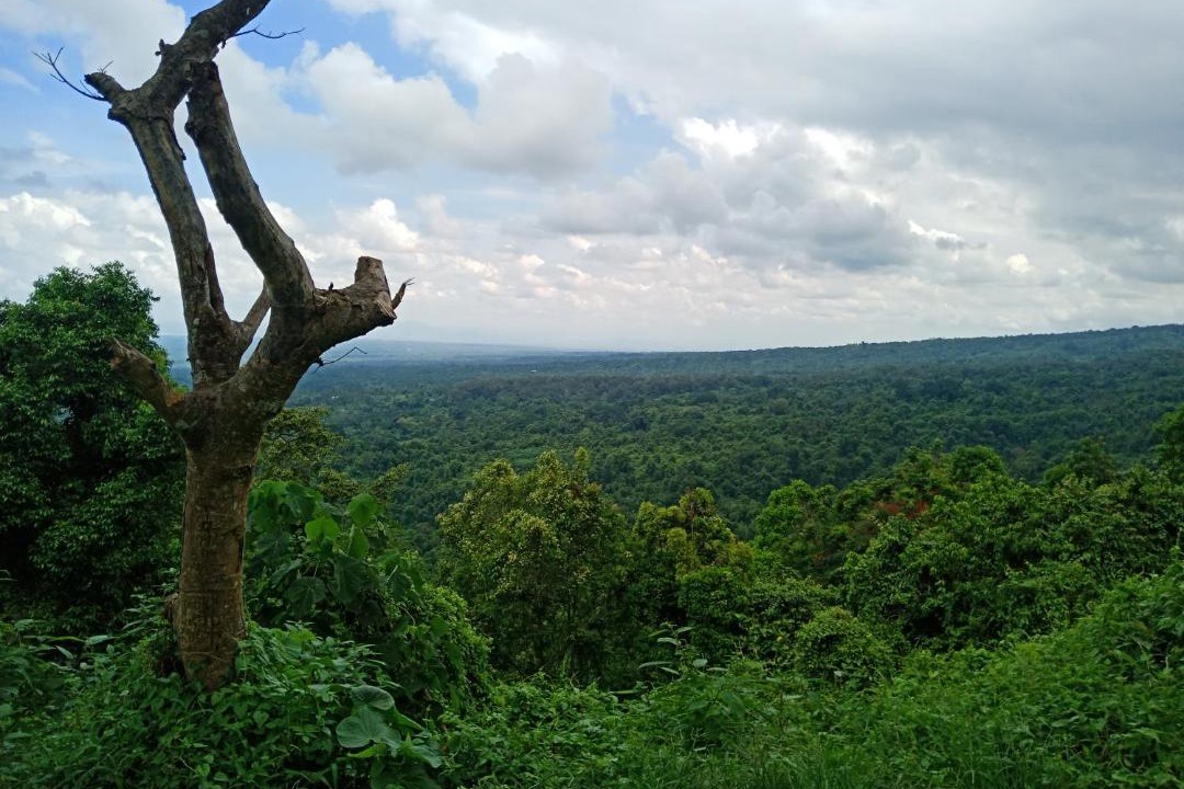 Photo of Outdoor in Kecamatan Pringgasela