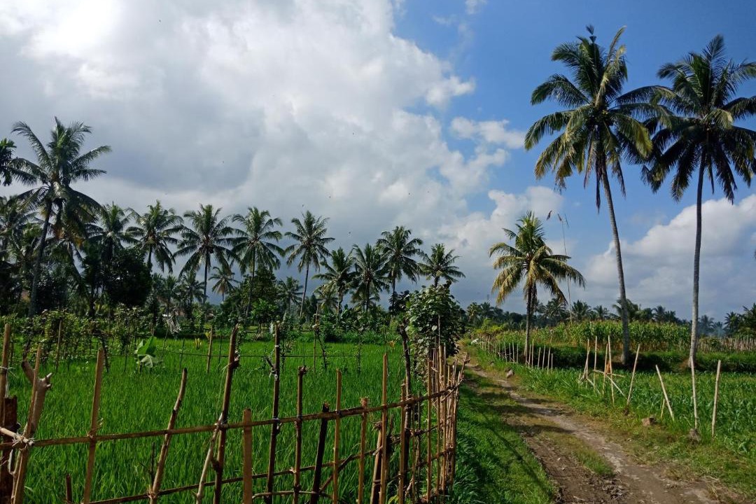 Photo of Outdoor in Kecamatan Pringgasela