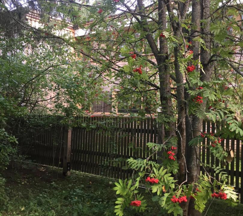 Photo of Others in Zvenigorod