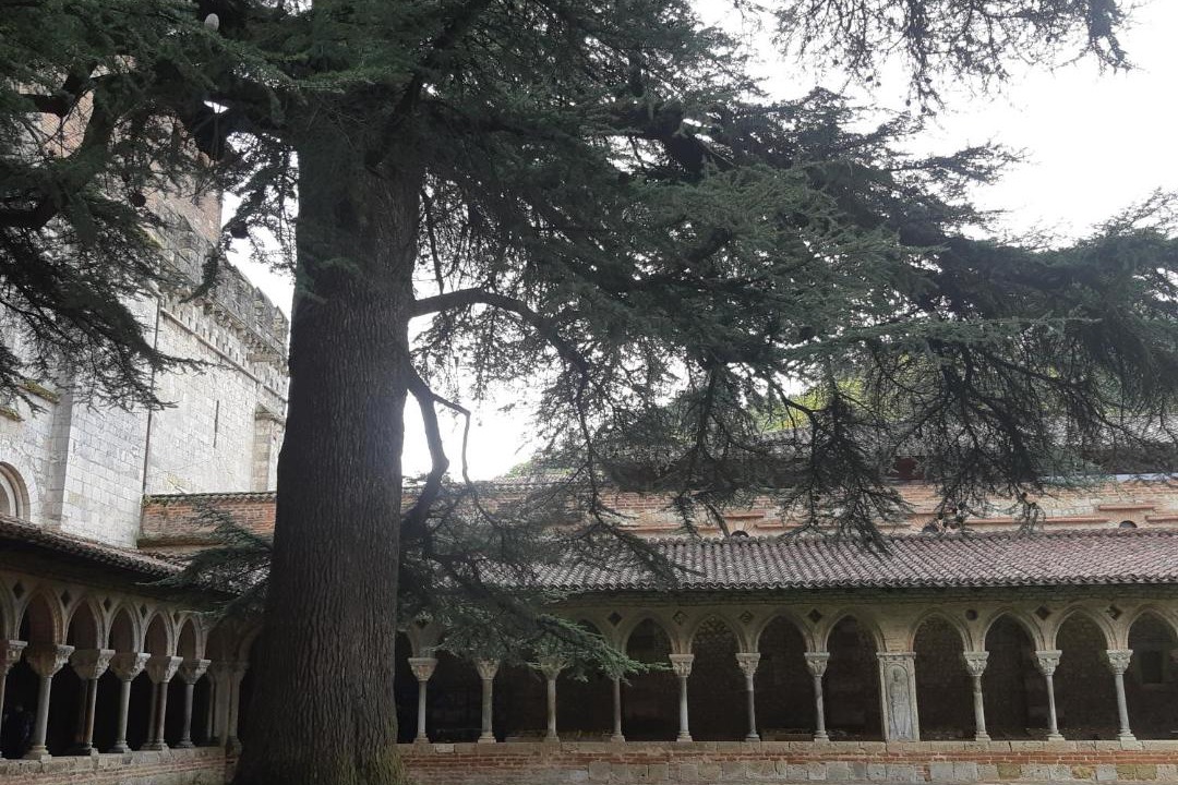 Photo of Others in Moissac