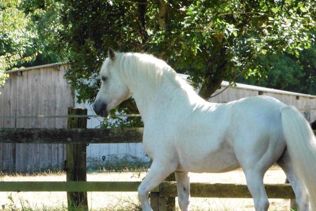 Photo of Others in Bourbriac