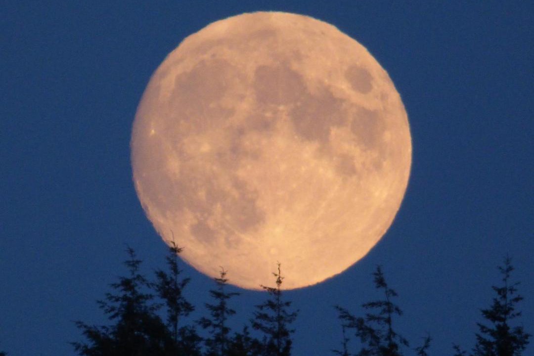 Photo of Others in North Tidworth