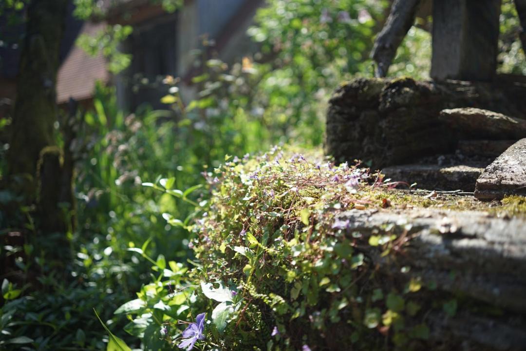 Photo of Others in Altillac