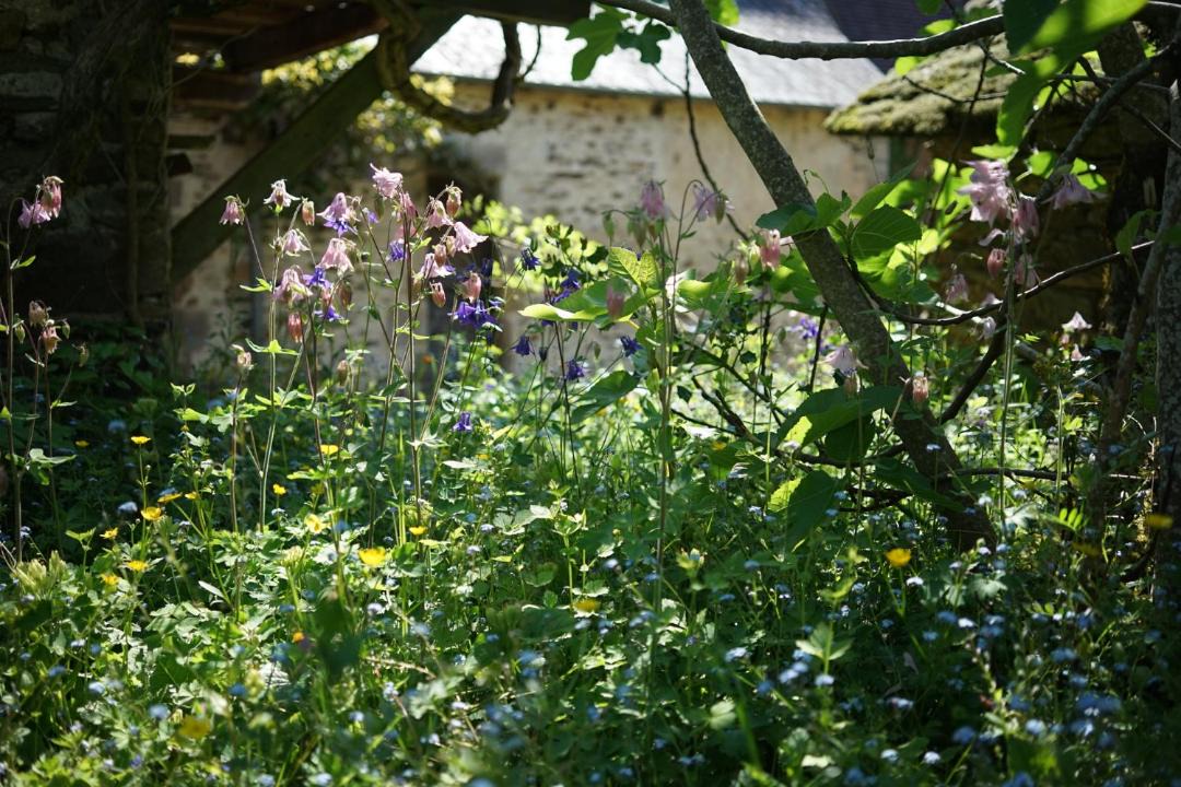 Photo of Others in Altillac