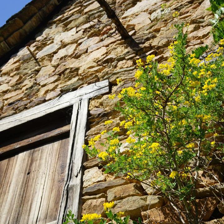 Photo of Others in Altillac