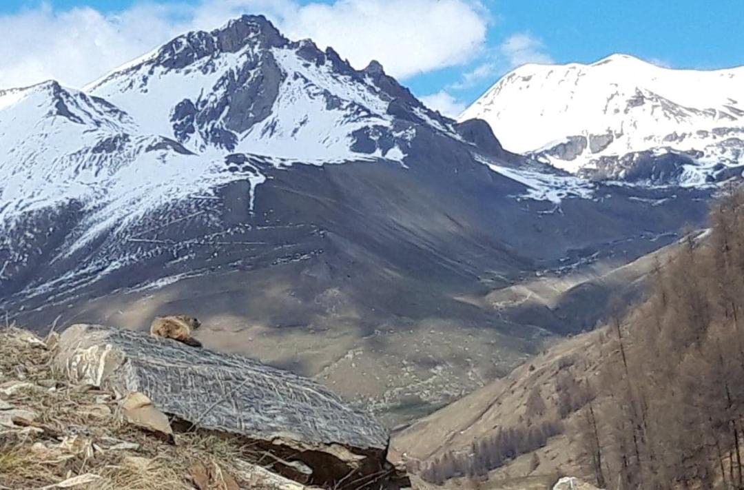 Photo of Others in Barcelonnette