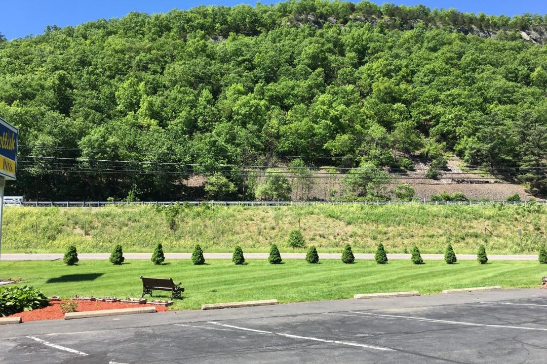 Photo of Others in Milford