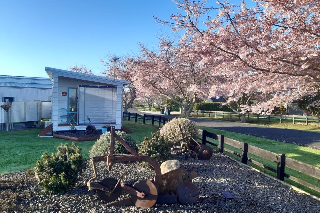 Photo of Others in Matamata