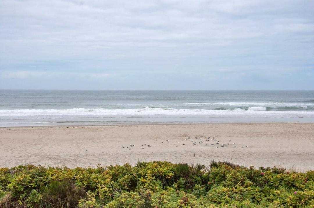 Photo of Outdoor in Tierra Del Mar