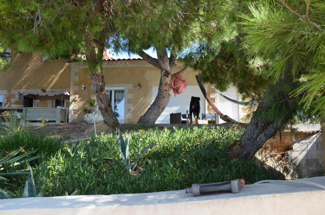 Photo of Buildings in Lezignan-Corbieres
