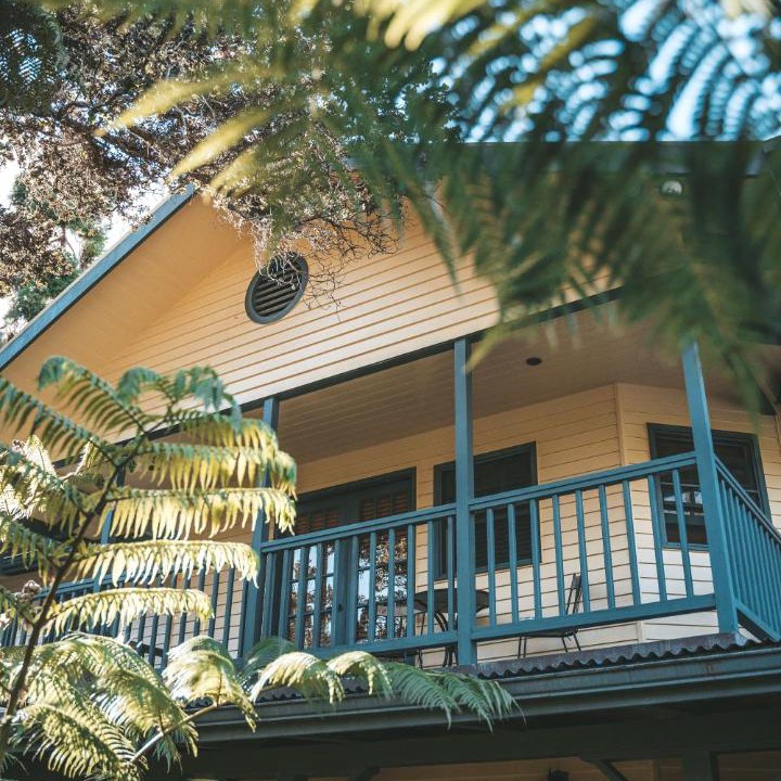 Photo of Others in Volcano