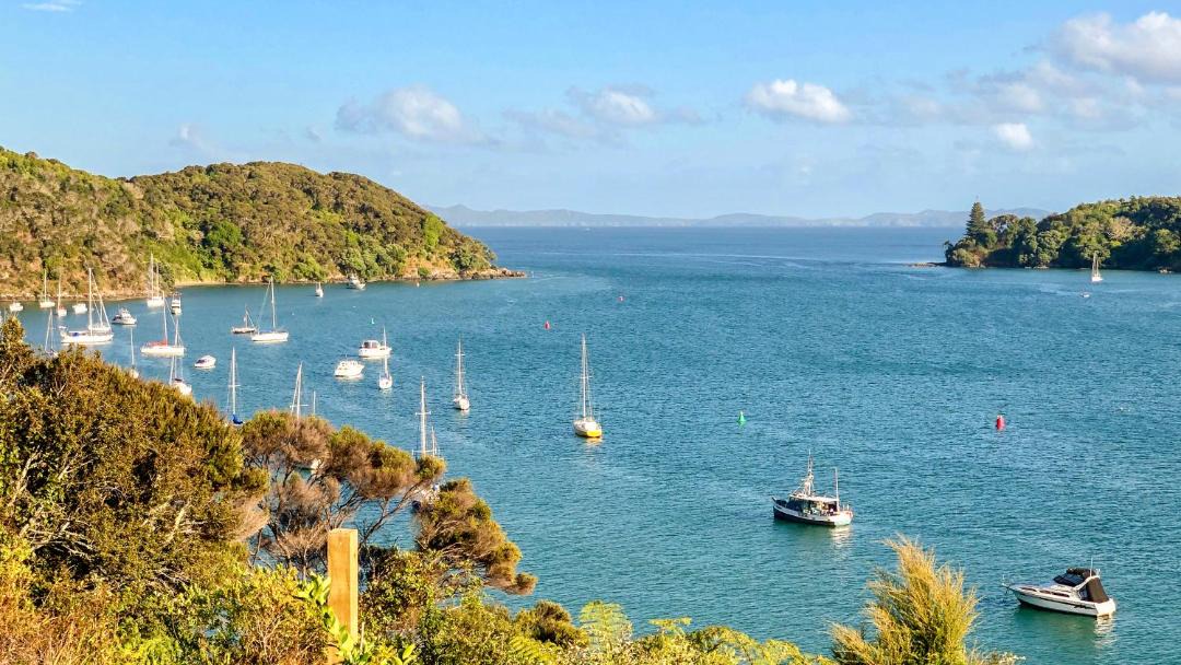 Photo of Others in Mangonui