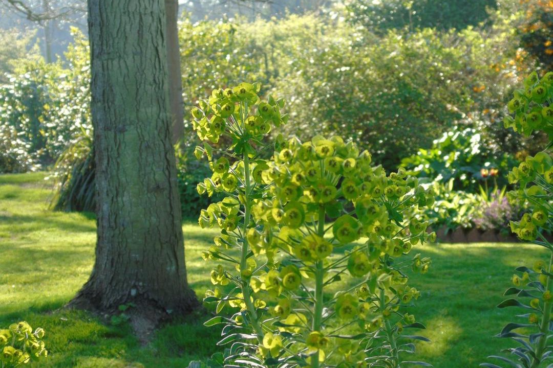 Photo of Outdoor in Westhampnett