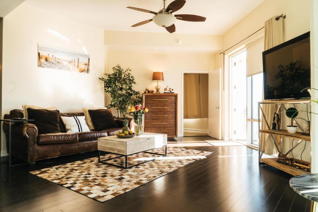 Photo of Livingroom in South Eola
