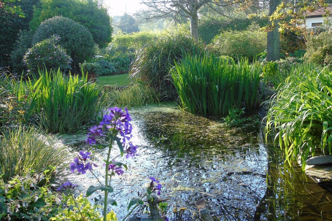 Photo of Others in Westhampnett