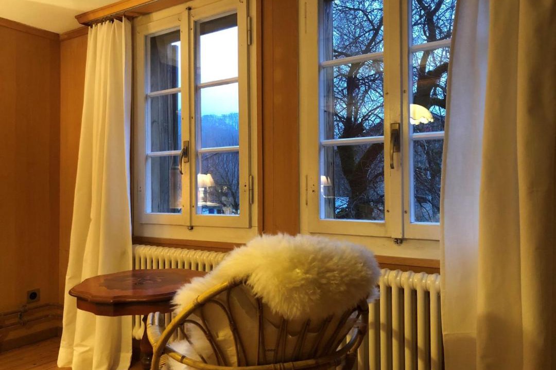 Photo of Livingroom in Wilderswil