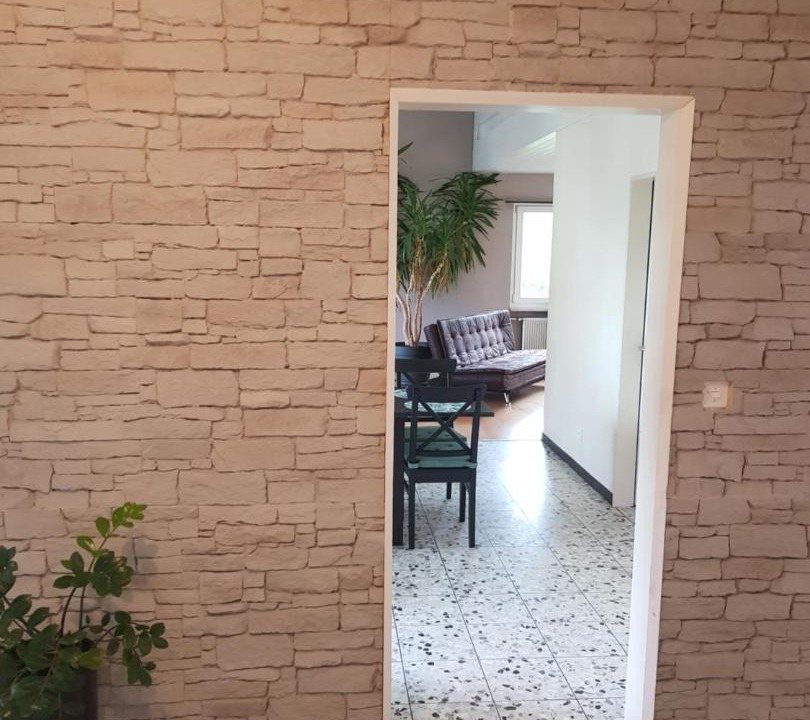 Photo of Others in Egerkingen