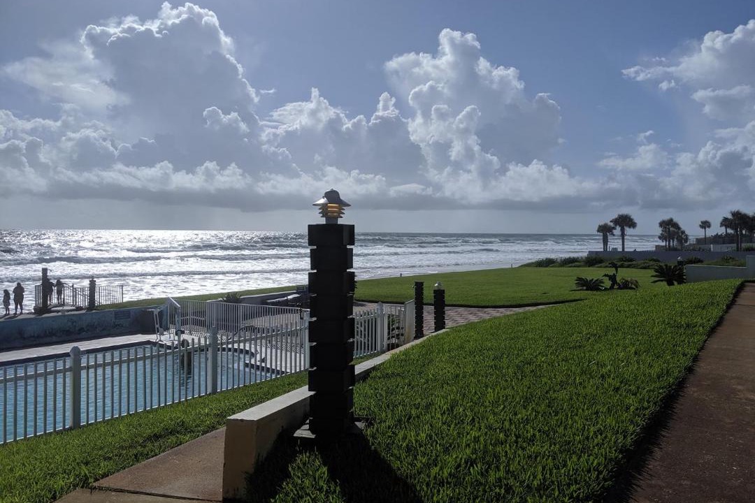 Photo of Others in Reeds