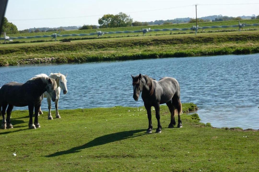 Photo of Others in Newborough