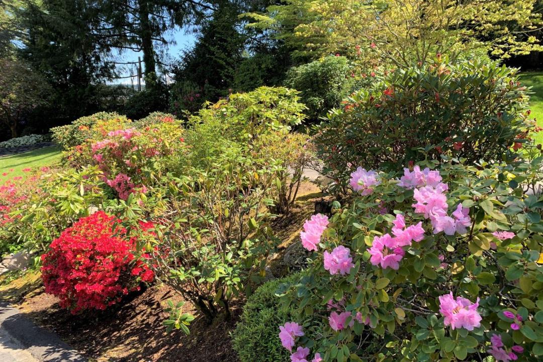 Photo of Others in Gig Harbor