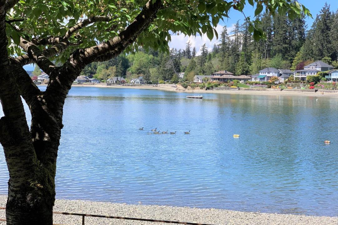 Photo of Others in Gig Harbor