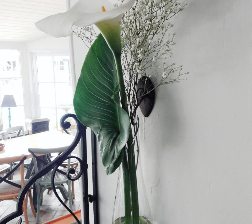 Photo of Others in Challans