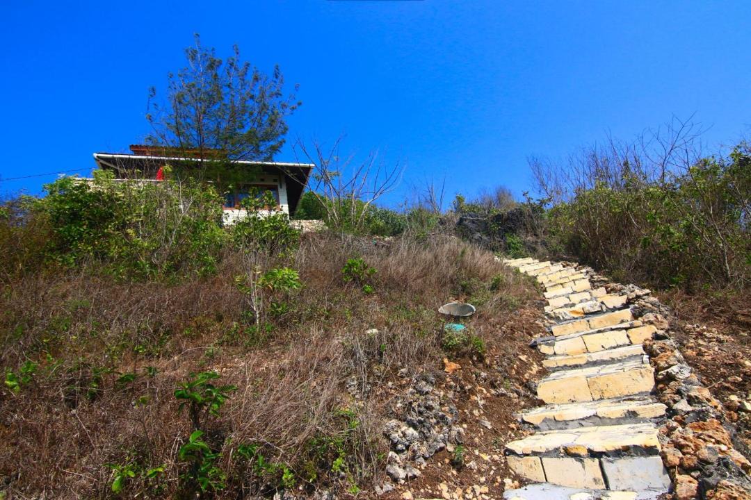 Photo of Others in Wonosari