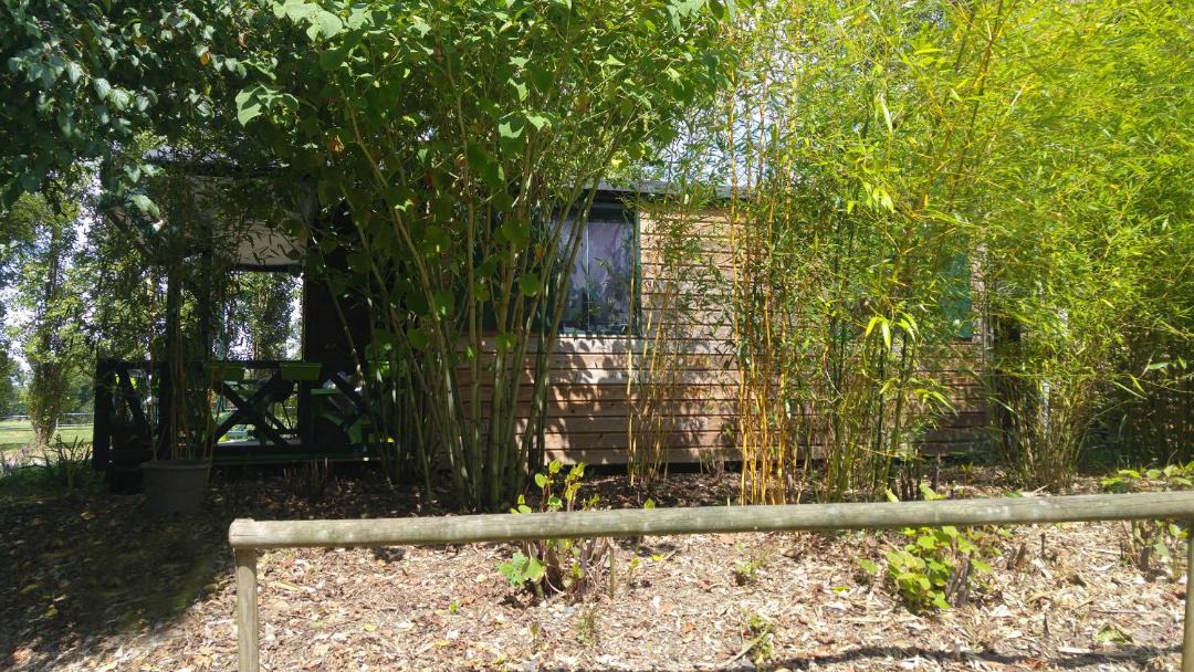 Photo of Others in Argentre-du-Plessis