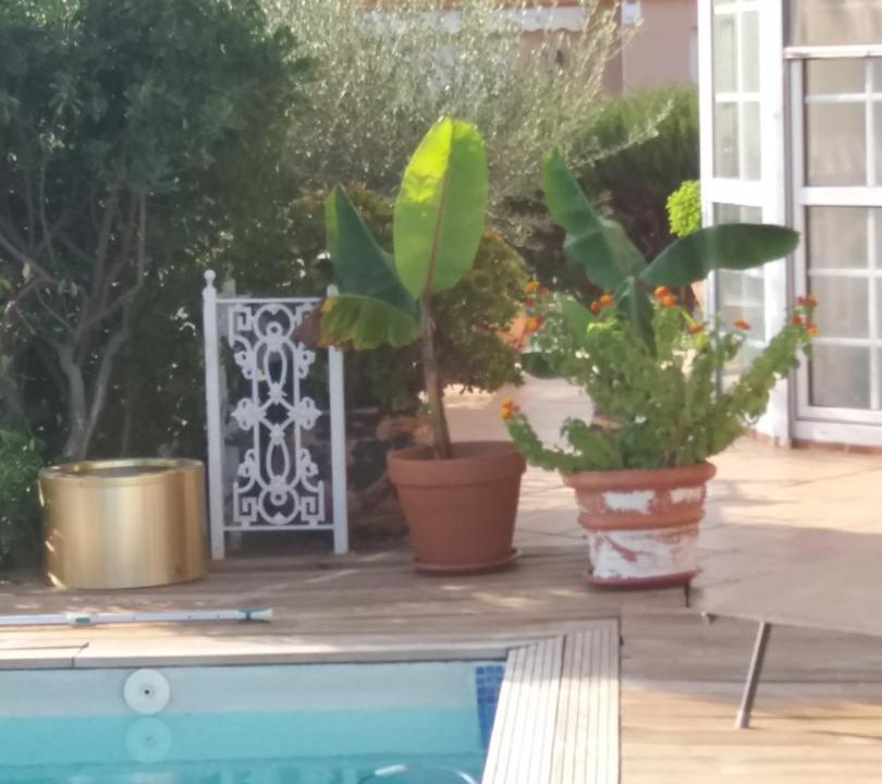 Photo of Others in Sant Mateu