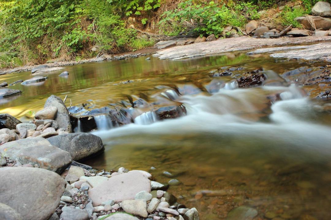 Photo of Others in Maplecrest