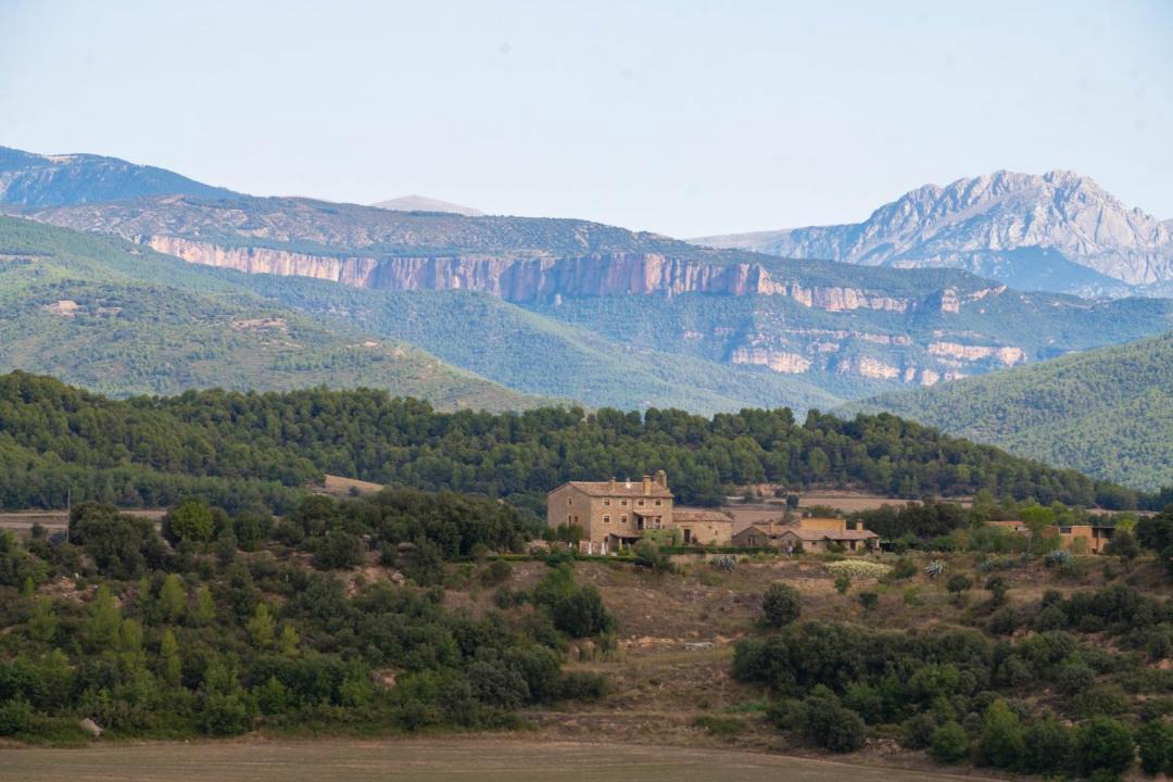 Photo of Others in Gargalla