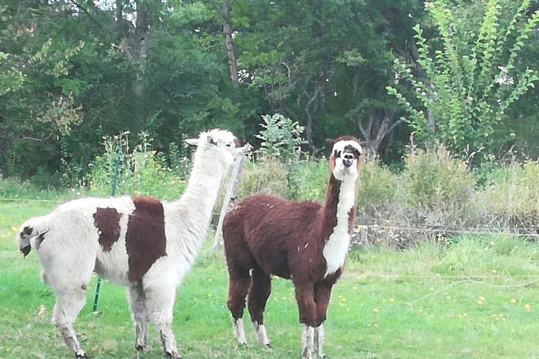 Photo of Human In Picture in La Chaise-Dieu