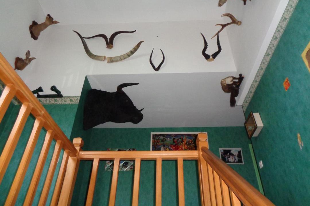 Photo of Others in Lhommaize