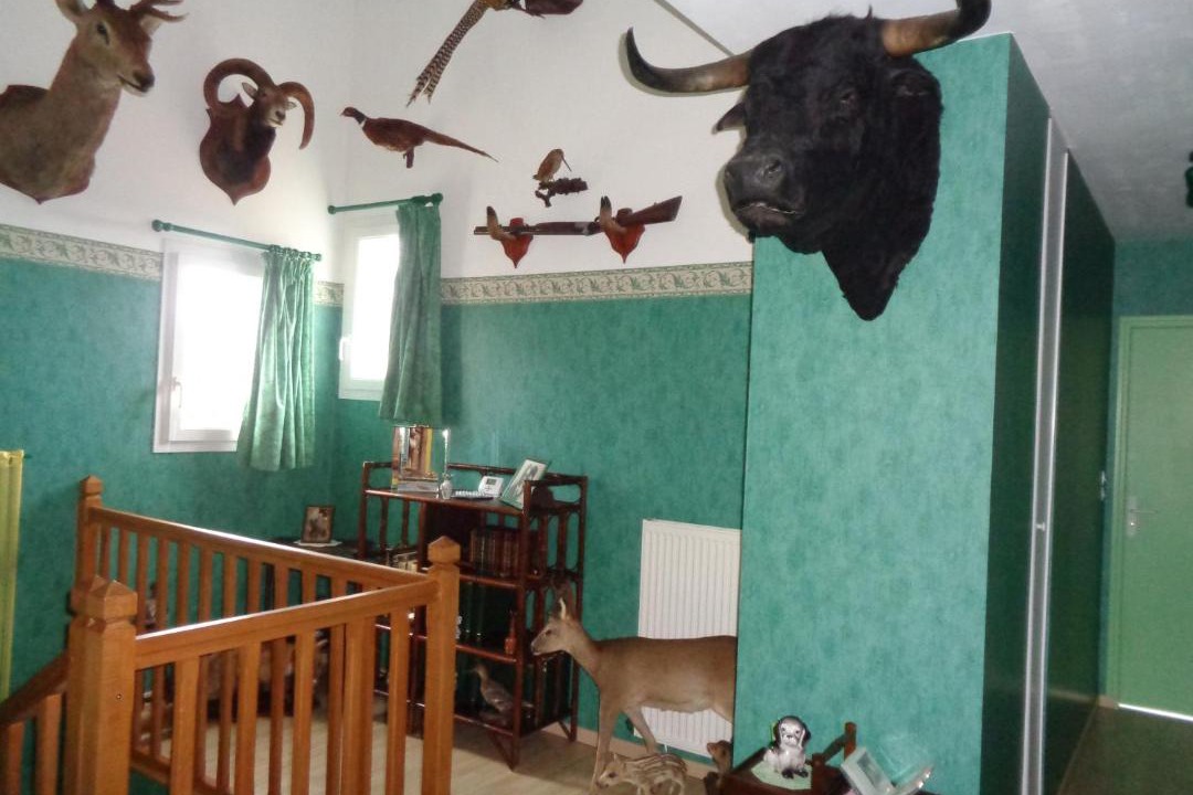 Photo of Others in Lhommaize