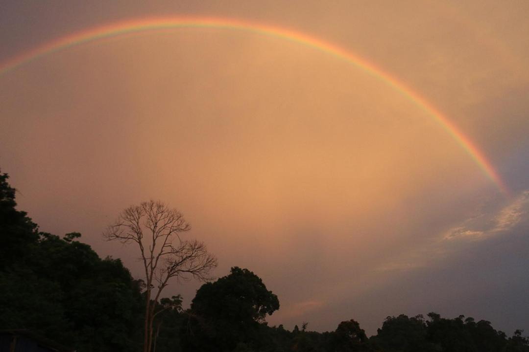 Photo of Others in Kuah