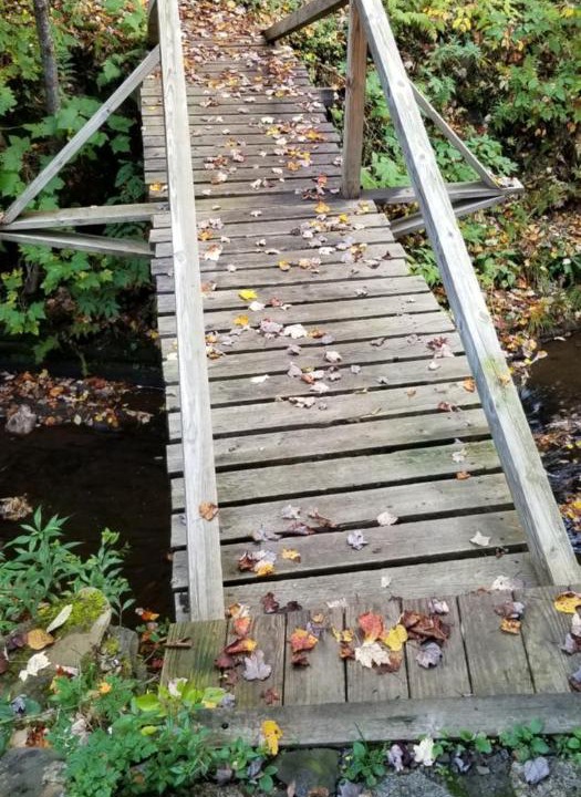 Photo of Others in Cooperstown