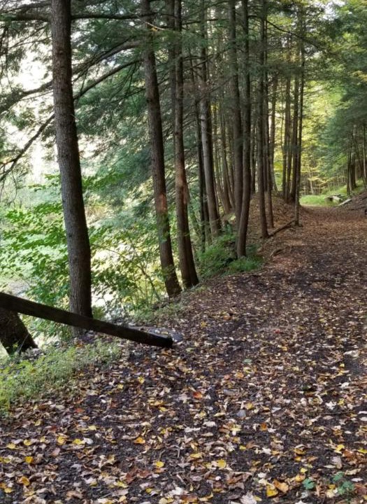 Photo of Others in Cooperstown