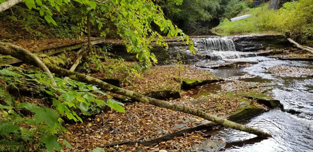 Photo of Others in Cooperstown