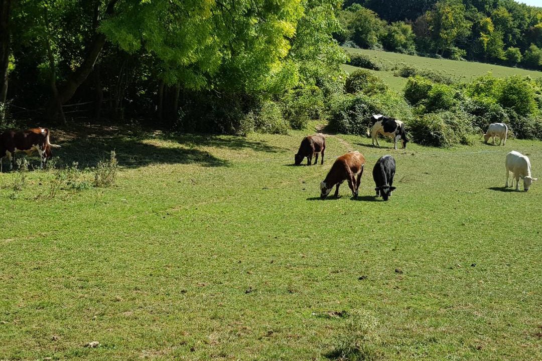Photo of Others in Lachapelle-Saint-Pierre