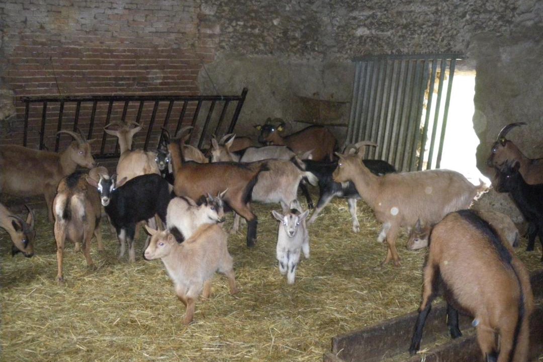 Photo of Others in Lachapelle-Saint-Pierre