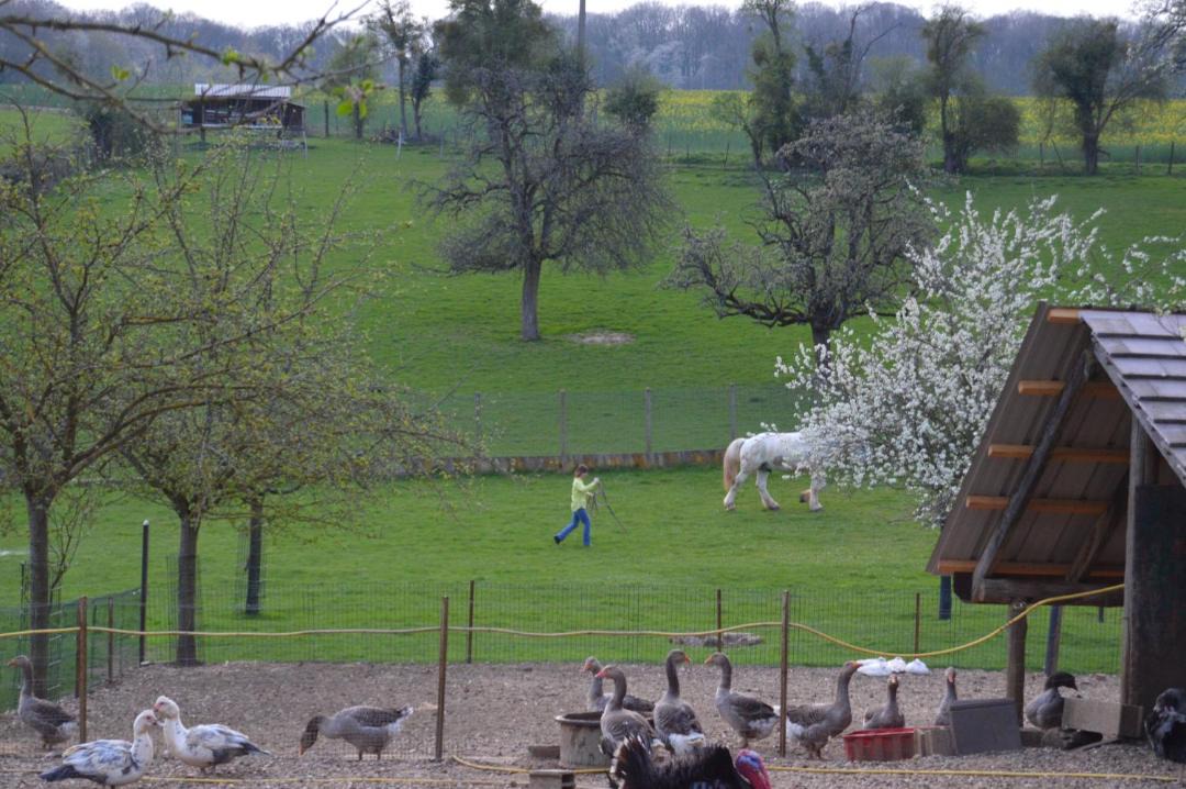 Photo of Others in Lachapelle-Saint-Pierre