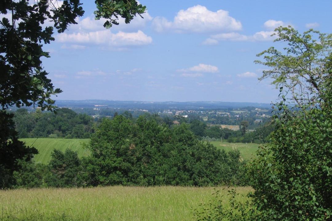 Photo of Others in Realville