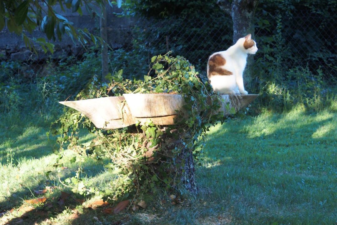 Photo of Others in Saint-Lothain