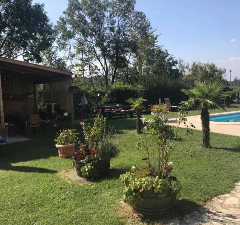 Photo of Others in Nedescina