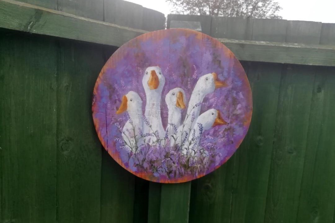 Photo of Others in Newborough