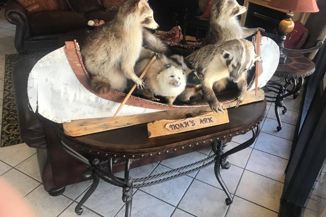 Photo of Others in Abilene