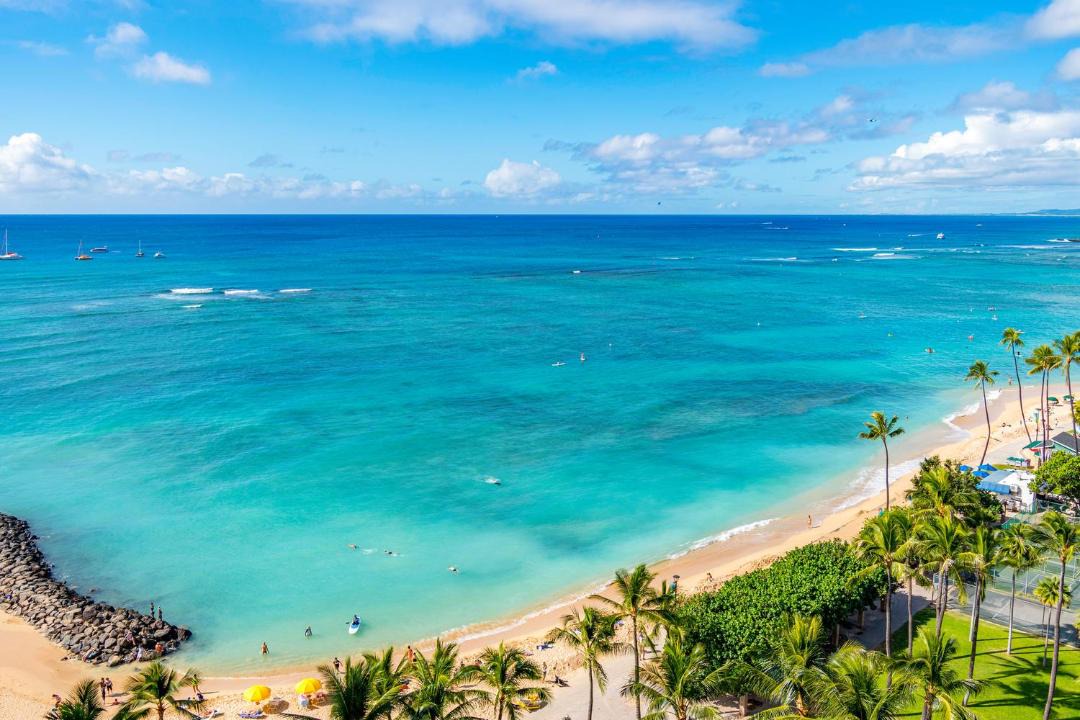 Photo of Outdoor in Waikiki