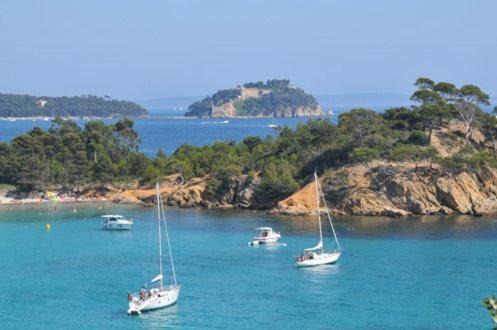 Photo of Outdoor in La Faviere